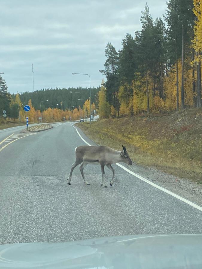 Levillas Levin Tuulahdus Sirkka Esterno foto
